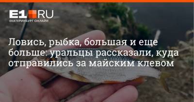 Ловись, рыбка, большая и еще больше: уральцы рассказали, куда отправились за майским клевом - e1.ru - Екатеринбург