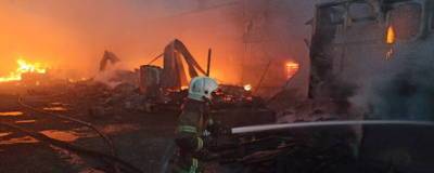 В Екатеринбурге ликвидировали крупный пожар на пилораме - runews24.ru - Екатеринбург - Свердловская обл.