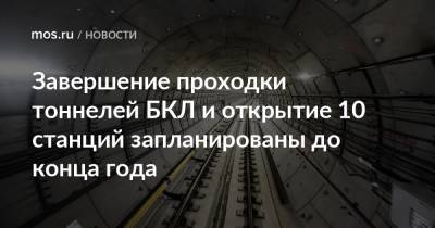 Андрей Бочкарев - Завершение проходки тоннелей БКЛ и открытие 10 станций запланированы до конца года - mos.ru - Москва - Строительство