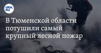 Александр Моор - В Тюменской области потушили самый крупный лесной пожар - ura.news - Тюменская обл. - окр. Янао
