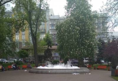 Неизвестные вылили в столичный фонтан моющее средство: получилось «пенное шоу» (ФОТО) - enovosty.com - Киев