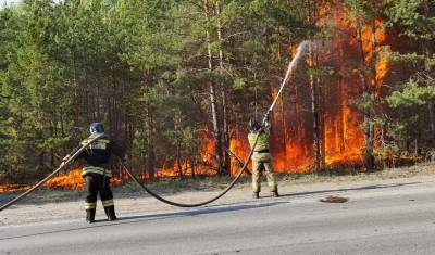 В Тюменской области за сутки произошло 27 лесных и ландшафтных пожаров - nashgorod.ru - Тюменская обл.