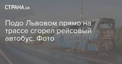 Подо Львовом прямо на трассе сгорел рейсовый автобус. Фото - strana.ua - Львов - район Стрыйский