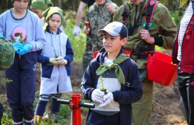 Более 2 тысяч елей вырастут в Тверской области после Всероссийского дня посадки леса - afanasy.biz - ЦФО - Тверская обл.