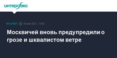 Москвичей вновь предупредили о грозе и шквалистом ветре - interfax.ru - Москва