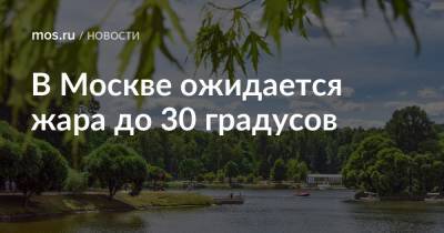 В Москве ожидается жара до 30 градусов - mos.ru - Москва