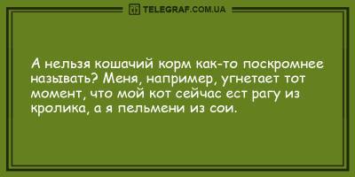Позитивные анекдоты на вечер 16 мая, которые вас рассмешат - ТЕЛЕГРАФ - telegraf.com.ua