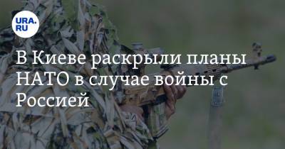 Сергей Лавров - Дмитрий Кулеба - В Киеве раскрыли планы НАТО в случае войны с Россией - ura.news - Москва - Киев