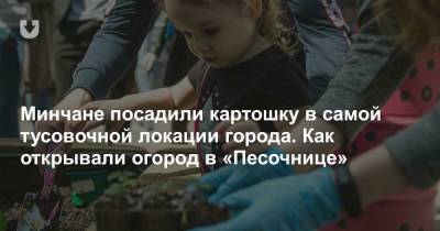 Минчане посадили картошку в самой тусовочной локации города. Как открывали огород в «Песочнице» - news.tut.by - Минск - Экология