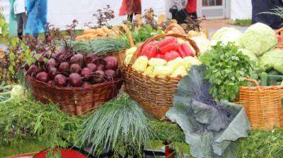 Популярные продукты помогут организму уменьшить симптомы анемии - nation-news.ru