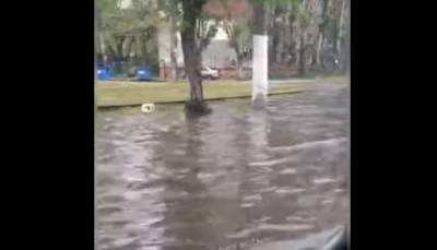 Потоп случился в Одессе: появилось видео, как улица ушла под воду - odessa.politeka.net - Одесса