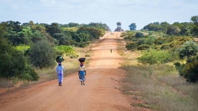 ЧВК из ЮАР обвинили в расизме после операции в Мозамбике - newdaynews.ru - Юар - Пальма - Мозамбик