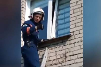В Новосибирске спасли застрявшую лапой в окне кошку - novos.mk.ru - Новосибирск
