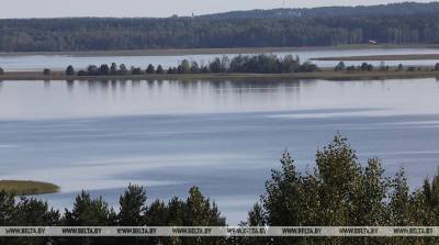 Пять озер нацпарка "Браславские озера" зарыбили более 1,3 млн личинок щуки - belta.by - Витебск - район Поставский