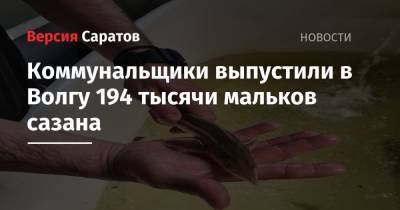 Коммунальщики выпустили в Волгу 194 тысячи мальков сазана - nversia.ru