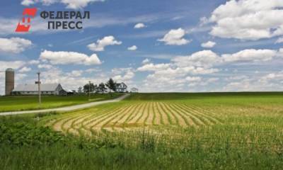 Под Тюменью почти за миллиард продают 49 гектаров земли - fedpress.ru - Тюмень