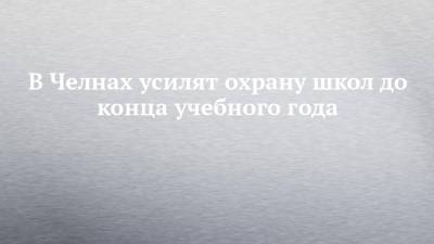 Наиль Магдеев - В Челнах усилят охрану школ до конца учебного года - chelny-izvest.ru - Набережные Челны - Казань