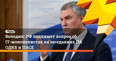 Вячеслав Володин - Володин: РФ поднимет вопрос об IT-монополистах на заседаниях ПА ОДКБ и ПАСЕ - ridus.ru