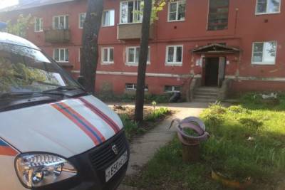 На пожаре в Советске Щекинского района погиб мужчина - tula.mk.ru - Советск - Тульская обл.