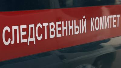 СК подтвердил гибель трех человек в результате нападения в Екатеринбурге - iz.ru - Екатеринбург - Свердловская обл.