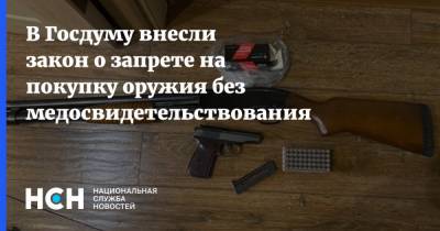 Александр Хинштейн - В Госдуму внесли закон о запрете на покупку оружия без медосвидетельствования - nsn.fm