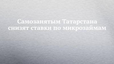 Самозанятым Татарстана снизят ставки по микрозаймам - chelny-izvest.ru - респ. Татарстан