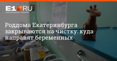 Артем Устюжанин - Роддома Екатеринбурга закрываются на чистку: куда направят беременных - e1.ru - Екатеринбург