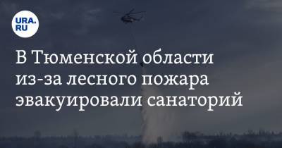 В Тюменской области из-за лесного пожара эвакуировали санаторий - ura.news - Тюмень - Тюменская обл.