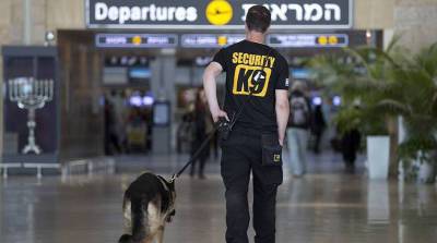 Все авиакомпании приостановили рейсы в Израиль - grodnonews.by - Израиль - Эмираты - Палестина