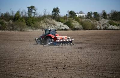 На Сумщине завершают сев подсолнечника и кукурузы - agroportal.ua - Сумская обл.