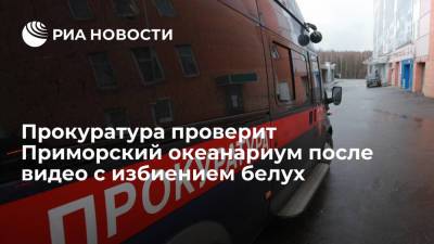 Прокуратура проверит Приморский океанариум после видео с избиением белух - ria.ru - Владивосток - Сахалин
