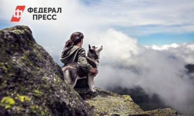 Где отдохнуть с домашним питомцем: популярные направления - fedpress.ru - Москва - Башкирия - Санкт-Петербург - Ростов-На-Дону - Петрозаводск - Кисловодск