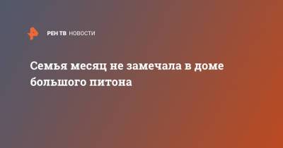 Семья месяц не замечала в доме большого питона - ren.tv - Австралия