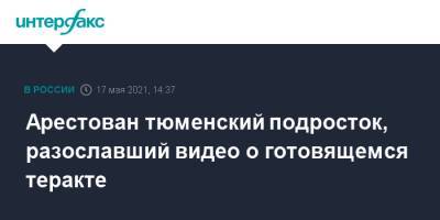 Арестован тюменский подросток, разославший видео о готовящемся теракте - interfax.ru - Москва - Тюмень
