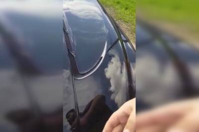 Водителя BMW задержали в Петербурге после конфликта с подростком из-за езды по тротуару - govoritmoskva.ru - Москва - Ленинградская обл. - Санкт-Петербург - район Красногвардейский