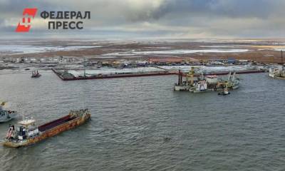 Владимир Путин - Леонид Михельсон - Второй СПГ-завод на Ямале запустят раньше намеченного срока - fedpress.ru