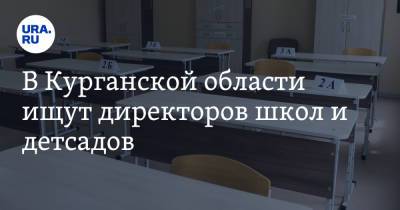 В Курганской области ищут директоров школ и детсадов. «Стаж — не главное» - ura.news - Курганская обл.