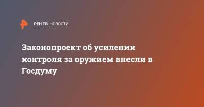 Законопроект об усилении контроля за оружием внесли в Госдуму - ren.tv