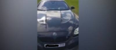 Агрессивный водитель BMW может стать фигурантом уголовного дела - abnews.ru - Санкт-Петербург
