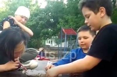 «Ева, дуй, Ева, дуй». В Запорожье дети употребляли наркотики прямо на спортплощадке. ВИДЕО 18+ - from-ua.com - Запорожье