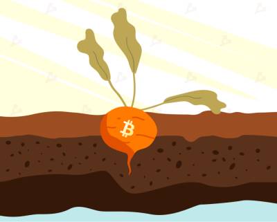 Десять крупнейших майнинг-пулов поддержали обновление Taproot в сети биткоина - forklog.com
