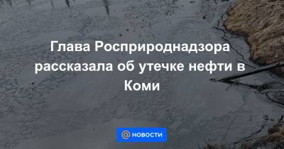 Глава Росприроднадзора рассказала об утечке нефти в Коми - news.mail.ru - респ. Коми
