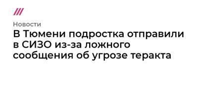 В Тюмени подростка отправили в СИЗО из-за ложного сообщения об угрозе теракта - tvrain.ru - Тюмень