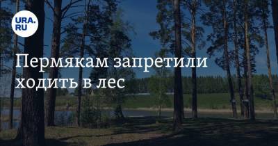 Пермякам запретили ходить в лес - ura.news - Пермский край