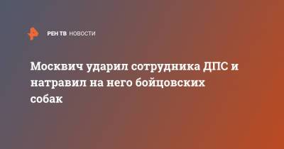 Юлия Иванова - Москвич ударил сотрудника ДПС и натравил на него бойцовских собак - ren.tv - Москва