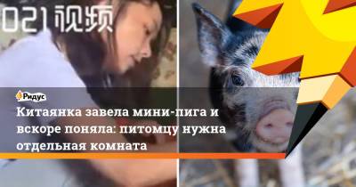 Китаянка завела мини-пига и вскоре поняла: питомцу нужна отдельная комната - ridus.ru - Шанхай