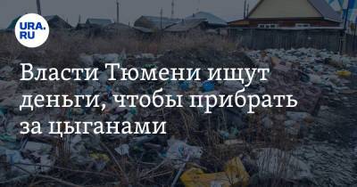 Власти Тюмени ищут деньги, чтобы прибрать за цыганами - ura.news - Тюмень