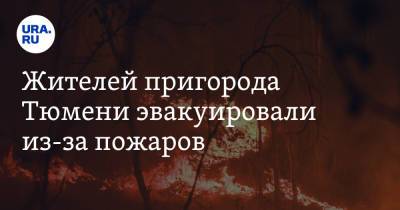 Жителей пригорода Тюмени эвакуировали из-за пожаров - ura.news - Тюмень - Тюменская обл.