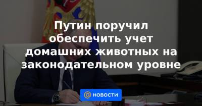 Путин поручил обеспечить учет домашних животных на законодательном уровне - news.mail.ru
