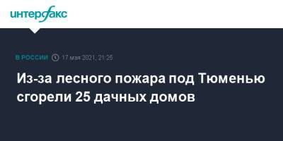 Из-за лесного пожара под Тюменью сгорели 25 дачных домов - interfax.ru - Москва - Тюмень - Тюменская обл.